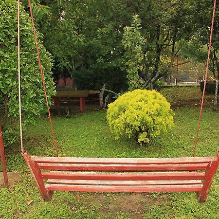Gajanovic Rooms Donji Milanovac Buitenkant foto